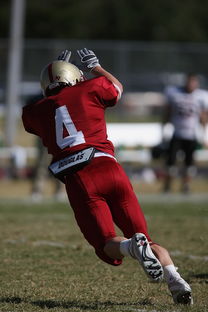 乐鱼体育官网-冠军球队赛季告别仪式感人，感恩球员与球迷，球队夺冠怎么发朋友圈